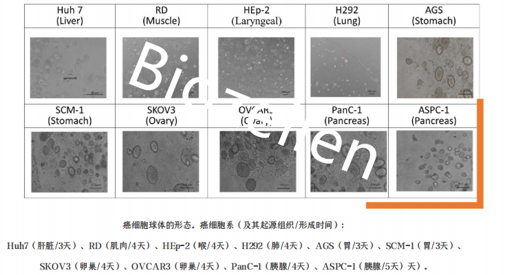 B-P-00002   Biozellen?3D細胞培養基質膠套裝 二.png